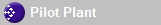 Pilot Plant